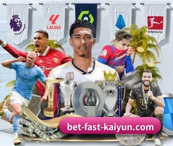 开云体育 APP - kaiyun sports